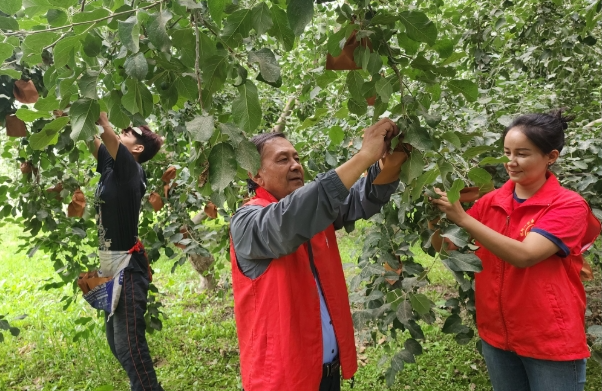 06281751068159437520.png screenshot-1751068095306.png