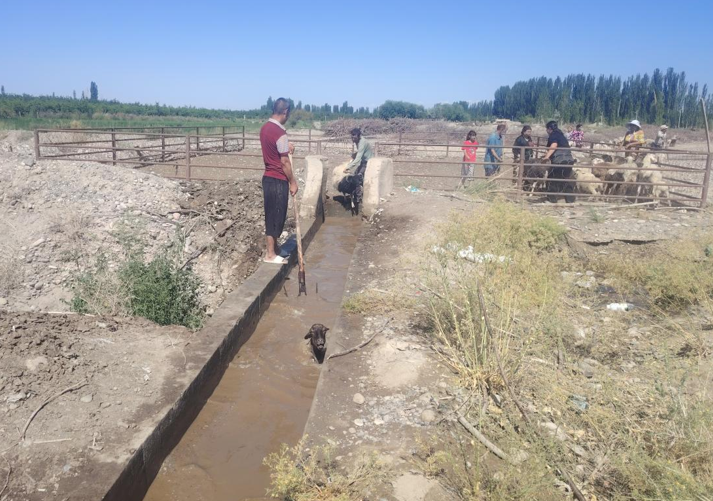 06301751273974826947.png 屏幕截图 2025-06-30 165922.png