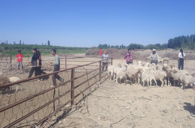 06301751273982846113.png 屏幕截图 2025-06-30 165929.png