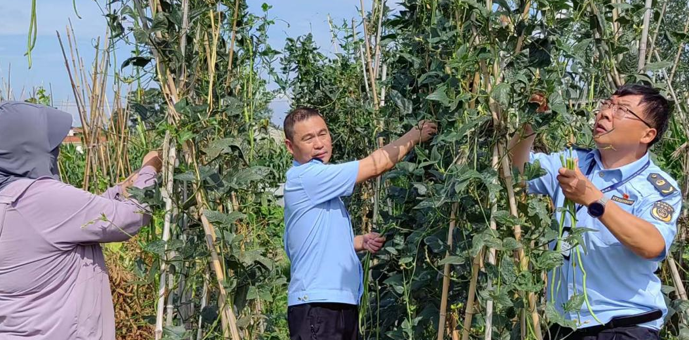 屏幕截图 2025-07-01 175821.png