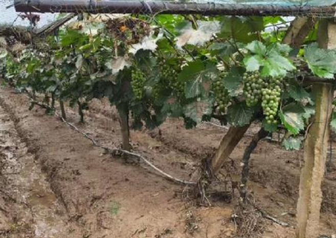 屏幕截图 2025-07-01 183158.png