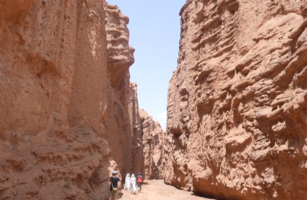 屏幕截图 2025-07-01 183322.png