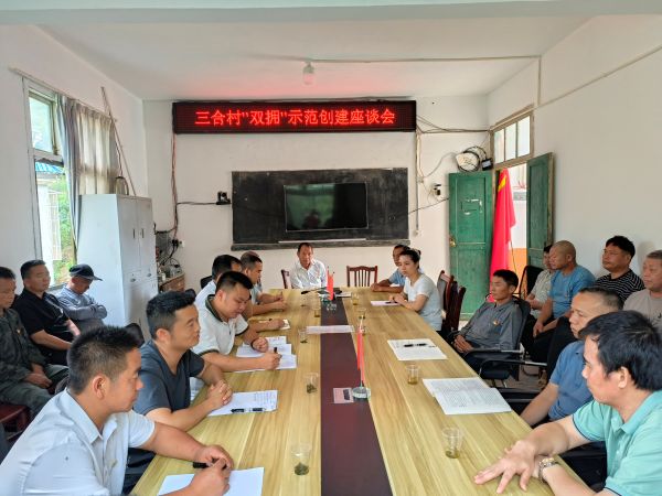 图为  三合村“双拥”示范创建座谈会现场（鲁畅  摄）.jpg