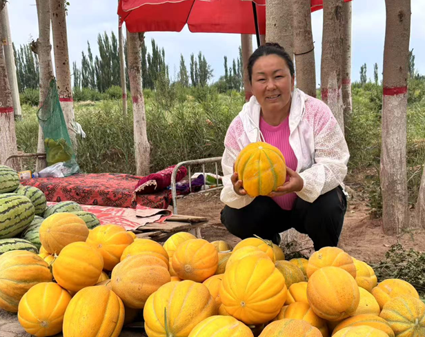 屏幕截图 2025-07-03 173446.png