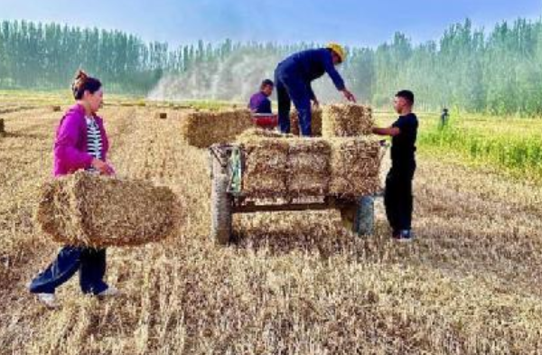 屏幕截图 2025-07-04 193845.png