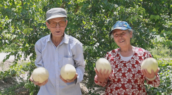 屏幕截图 2025-07-04 195256.png