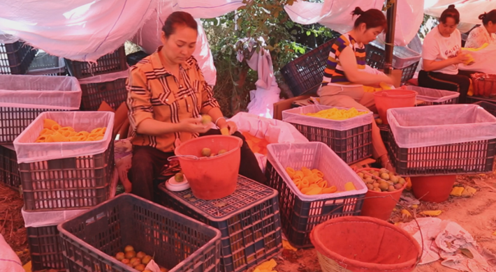 屏幕截图 2025-07-04 195302.png