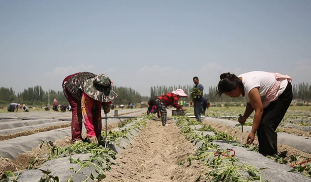 屏幕截图 2025-07-04 195425.png