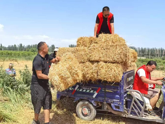 屏幕截图 2025-07-07 203449.png