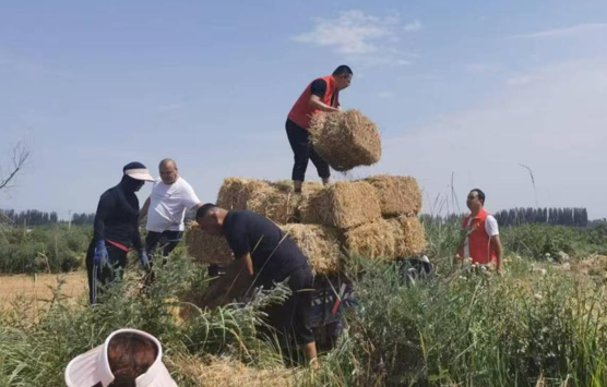 屏幕截图 2025-07-07 203452.png