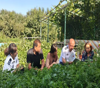 屏幕截图 2025-07-08 212538.png