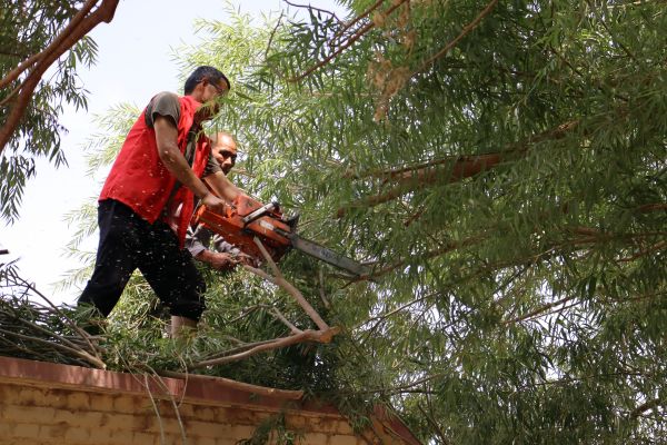 07091752062991759931.jpg IMG_7271.JPG