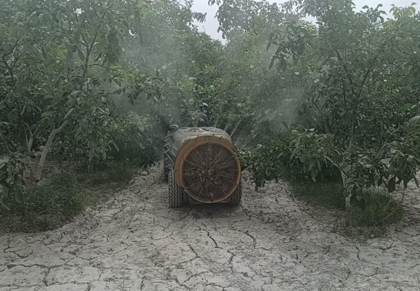 07101752148362819261.png 屏幕截图 2025-07-10 195234.png