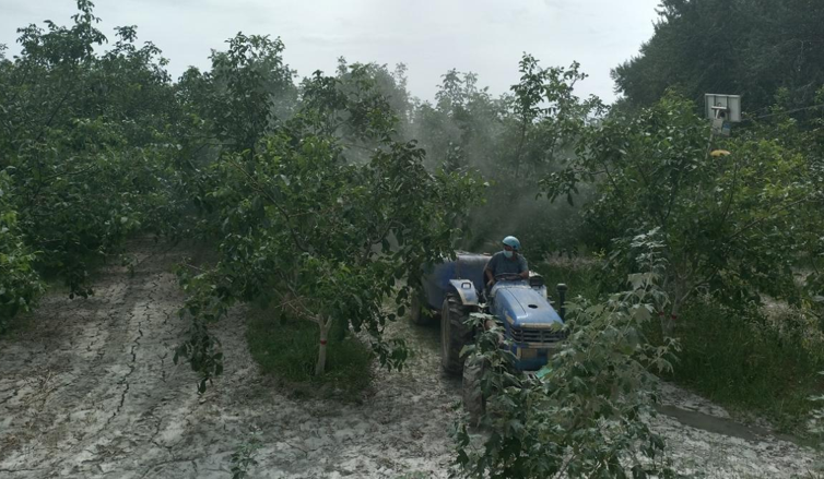 07101752148368895048.png 屏幕截图 2025-07-10 195231.png