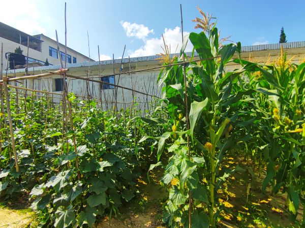 07111752235363345024.jpg IMG_20250709_094911.jpg