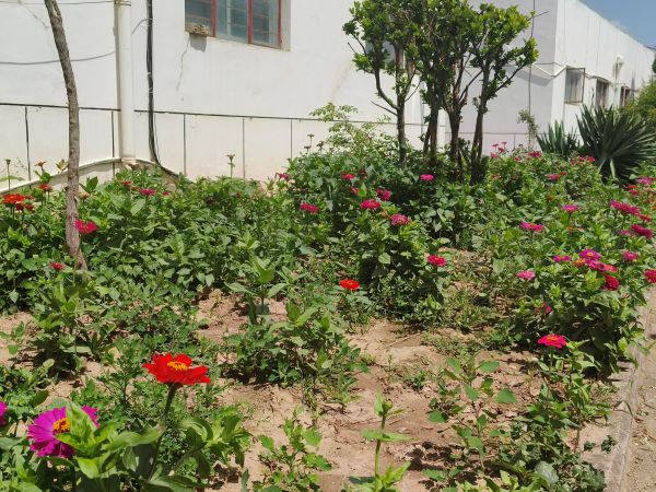 07111752235372360772.jpg mmexport1752031907351.jpg