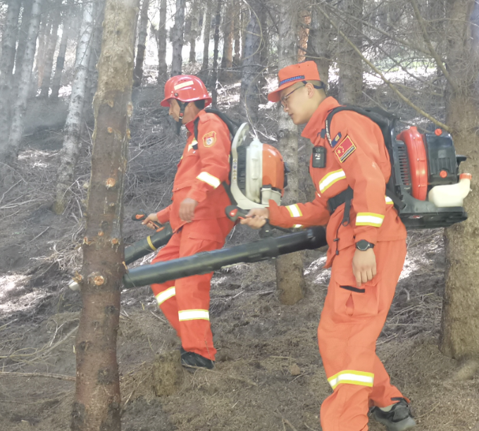 屏幕截图 2025-07-15 204555.png