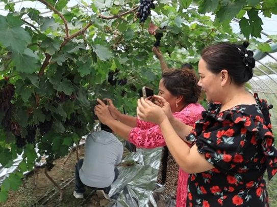 07171752757146993315.png 屏幕截图 2025-07-17 205846.png