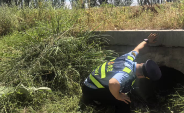 07171752760015954858.png 屏幕截图 2025-07-17 214609.png