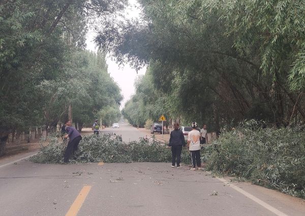 2025年7月17日，在S307清理影响公路安全的树枝.jpg