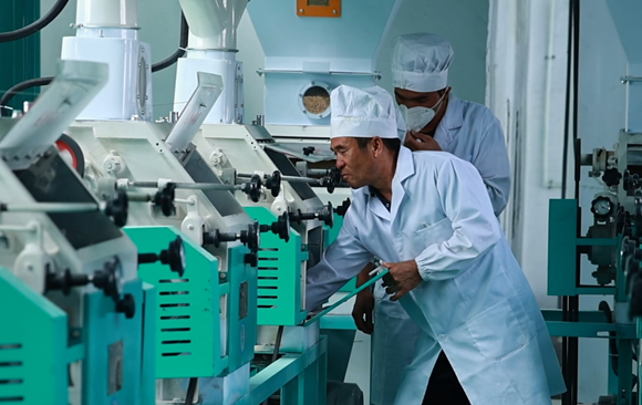 屏幕截图 2025-07-22 183602.png