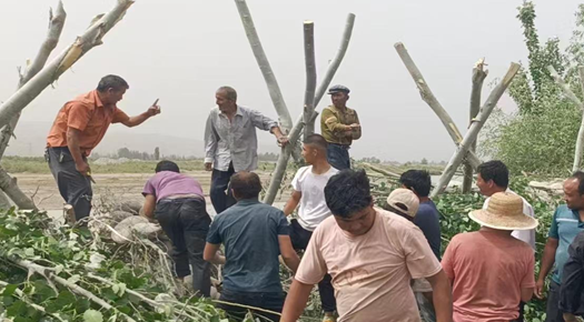 07231753268731391642.png 屏幕截图 2025-07-23 190526.png