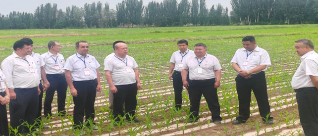 07231753273101137645.png 屏幕截图 2025-07-23 201757.png