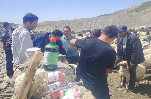 屏幕截图 2025-07-24 223529.png