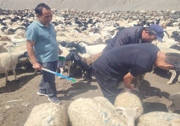 屏幕截图 2025-07-24 223524.png