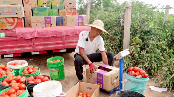 07281753693767757935.png 屏幕截图 2025-07-28 170741.png