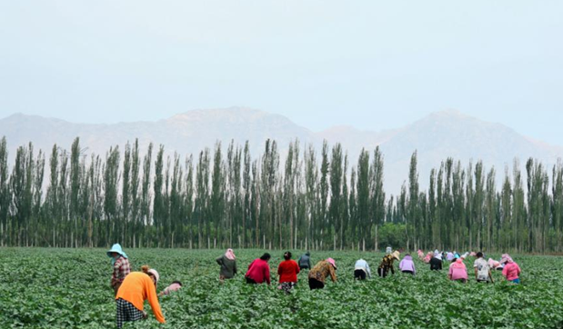 屏幕截图 2025-07-28 171623.png