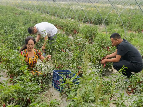 07281753698804787634.jpg 微信图片_20250725165109.jpg