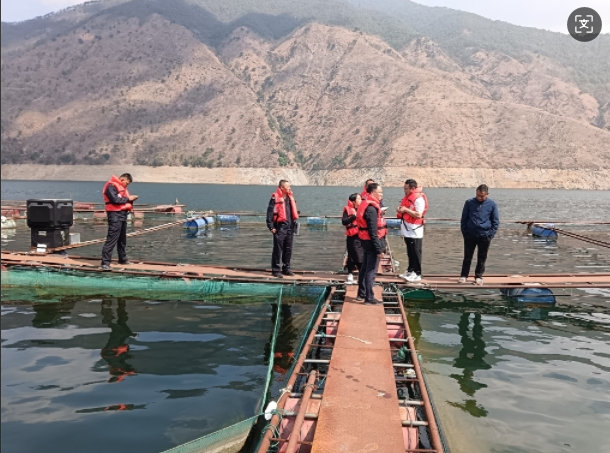 07301753861710608040.png screenshot-1753861281389.png