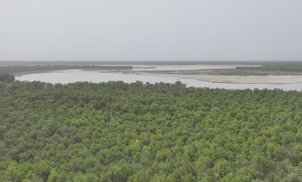 屏幕截图 2025-07-30 212132.png