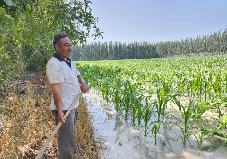 07311753976044745377.png screenshot-1753975980541.png