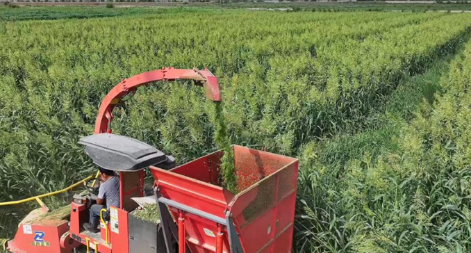 08011754045783677631.png 屏幕截图 2025-08-01 185540.png