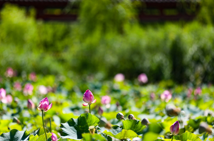 08051754401756796454.png 屏幕截图 2025-08-05 214821.png