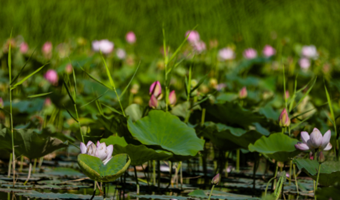 08051754401770758194.png 屏幕截图 2025-08-05 214910.png