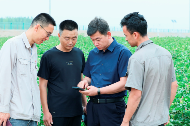 08061754477878799566.png 屏幕截图 2025-08-06 185644.png