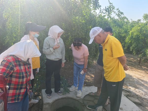 08111754921053454120.jpg 3.jpg