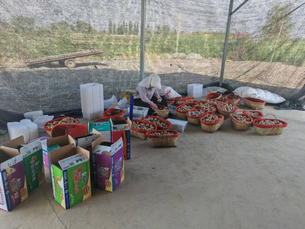 08131755085822300994.jpg 3cbb72e72fcde769d0b195fd56e1bcd9.jpg