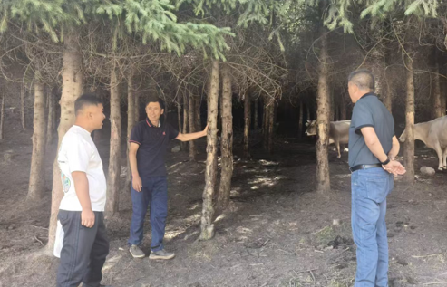 08131755086682565711.png 屏幕截图 2025-08-13 200311.png