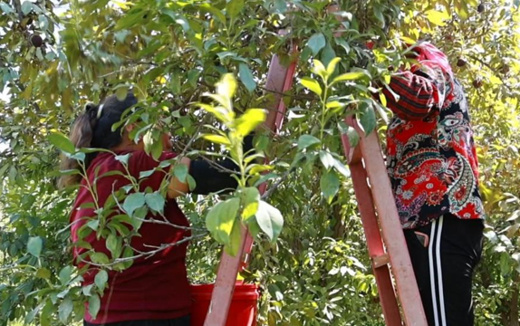 08131755087612887201.png 屏幕截图 2025-08-13 201955.png