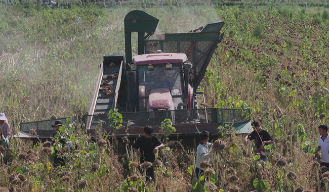 08141755167887483082.png 屏幕截图 2025-08-14 183648.png