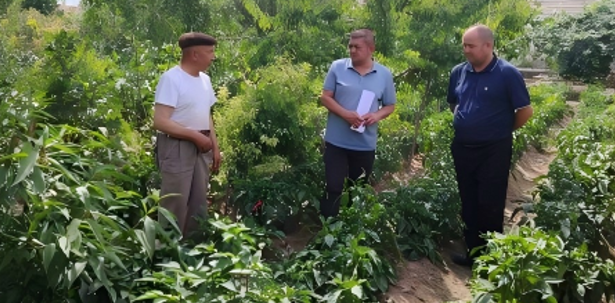 屏幕截图 2025-08-19 214752.png