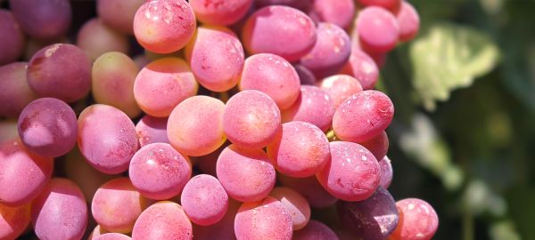 08211755775380952457.jpg IMG_20250821_111149.jpg