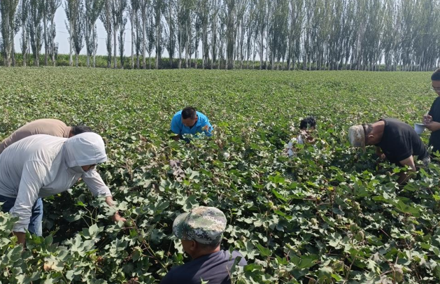 屏幕截图 2025-08-22 185017.png