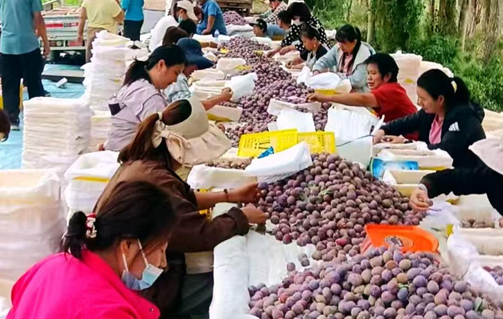 屏幕截图 2025-08-27 192153.png