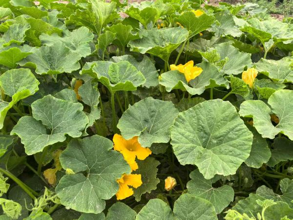 08271756294139561116.jpg 3.jpg