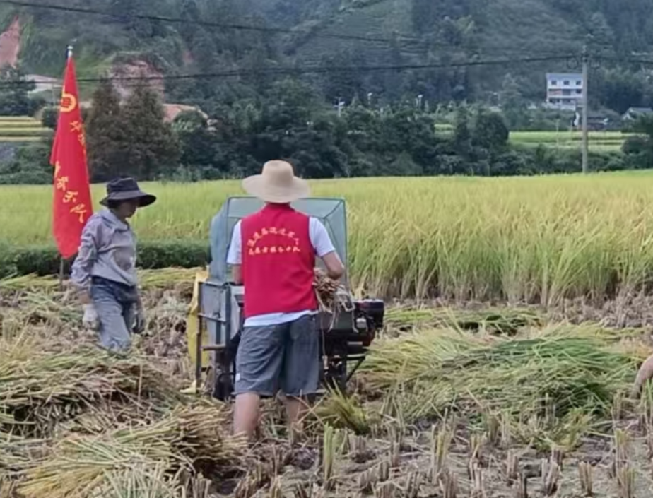 屏幕截图 2025-08-27 204823.png